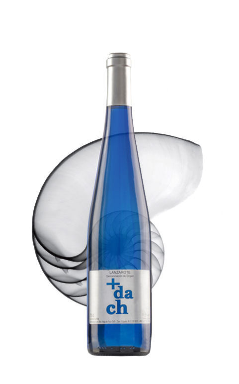 Vegadeyuco.com Bodegas y viñedos en La Geria Lanzarote